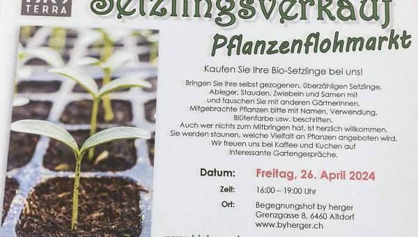 Bild Setzlingsverkauf - Pflanzenflohmarkt