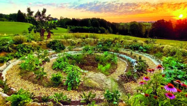 Permakulturgarten 