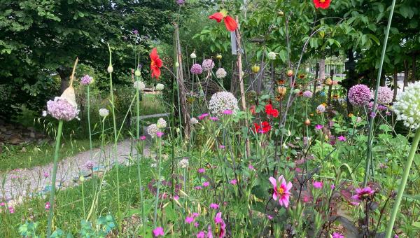 Gurtengärtli