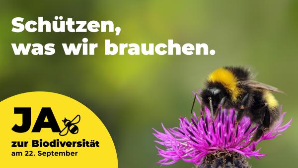 Schützen, was wir brauchen.