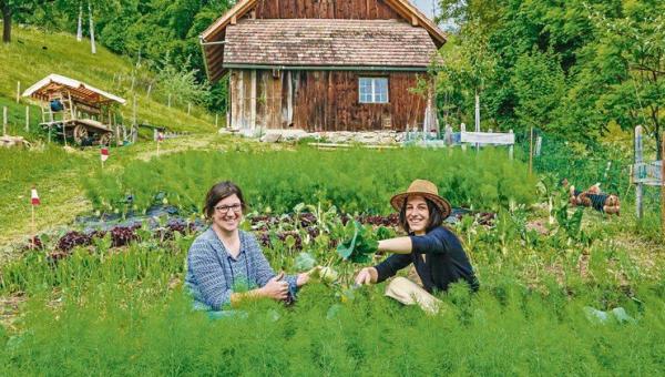 solidarische Landwirtschaft