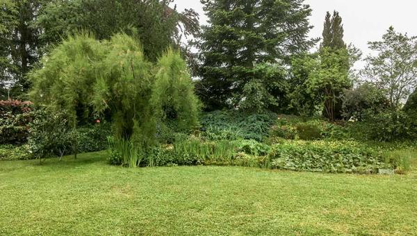 Garten vor Umgestaltung