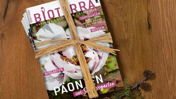 Bioterra-Magazin, , Bild von Benedikt Dittli