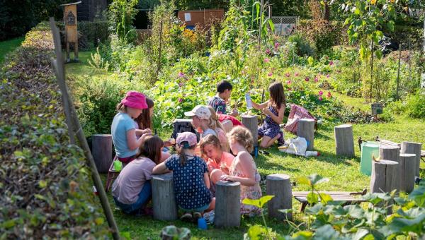 Kinder in einem Bioterra-Saisonkurs, Bild von Benedikt Dittli