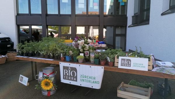 Markstand Neerach