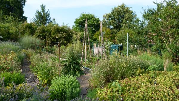Naturgarten, Fotografin Nicole Angst