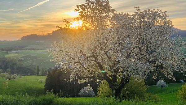 Engagement mit Weitblick