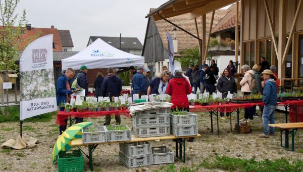 Pflanzenmarkt Würenlingen, Bild Sabine Merki