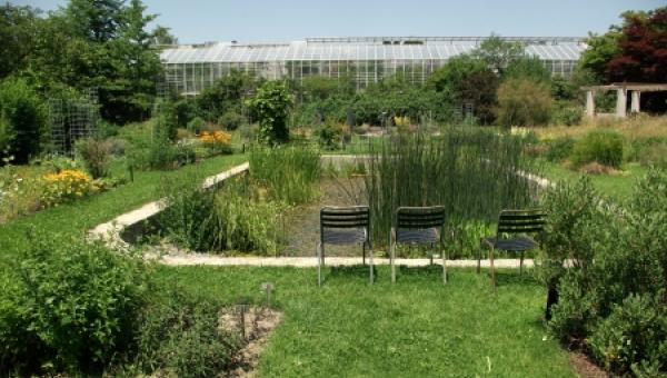 Bildquelle: Botanischer Garten SG