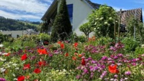 Privatfoto vom Blumenmeer im Garten