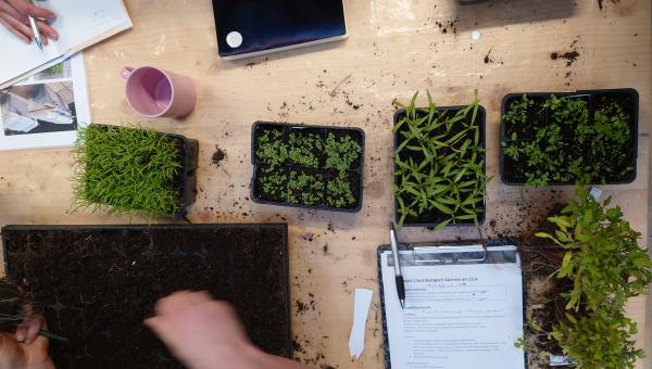 Biogartenkurs