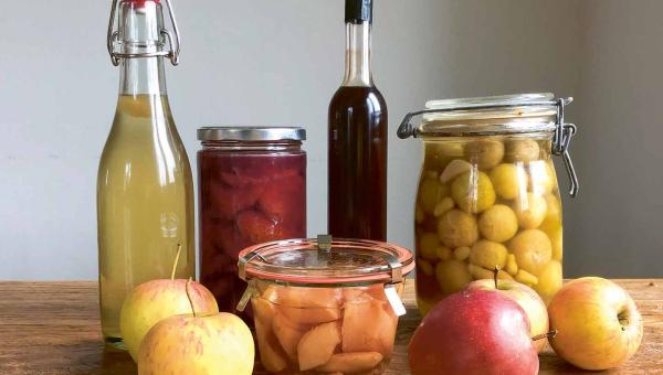 Fermentiertes Obst als Vorrat