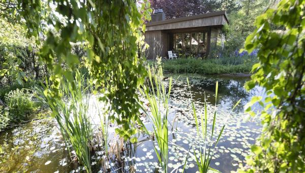 Spechtgarten in Hochwald, Bild von Benedikt Dittli