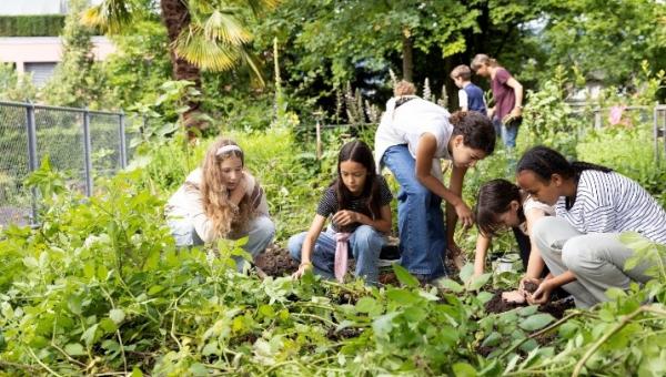 Schulkinder im Biogarten