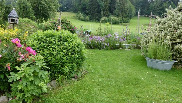 Garten im Sommer