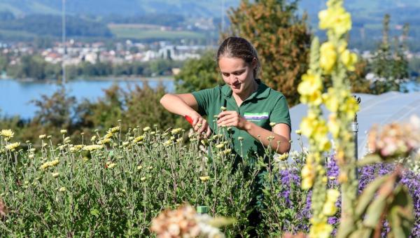 Bild der Gartenbauschule Hünibach