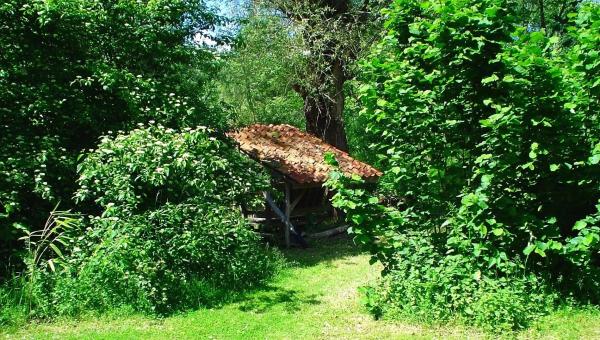 Waldgarten Susan Herion