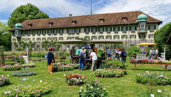 Natürlich im Kloster