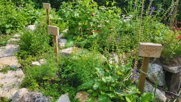 vielfältiger Garten.