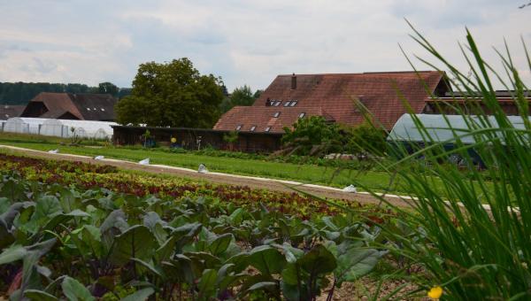 Biohof Zaugg