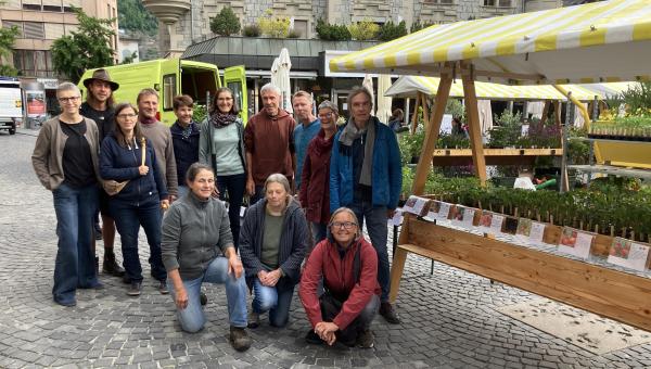 Das Setzlingsmarktteam 2026 