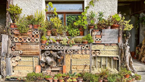 MAUER AUS GARTENMATERIALEN ALS LEBENSRÄUME FÜR INSEKTEN ETC.