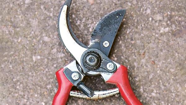 Felco- Schere