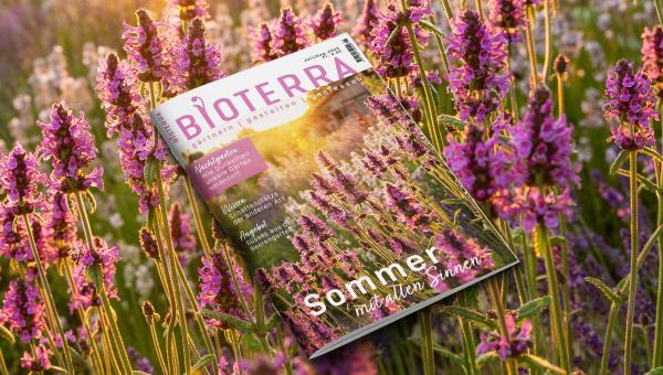 Zeitschrift «Bioterra» Juli/August 2026 Header