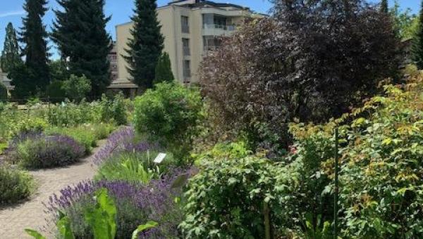 https://www.bioterra.ch/sites/default/files/2026-08/F%C3%BChrung%20Kloster%20Sursee%20Bild%20v.%20M.%20Amb%C3%BChl.MG_3628%20%281%29%20%28002%29.jpg