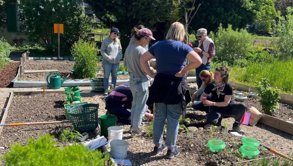 Bild aus dem Grundlagenkurs Gartenjahr mit Kindern