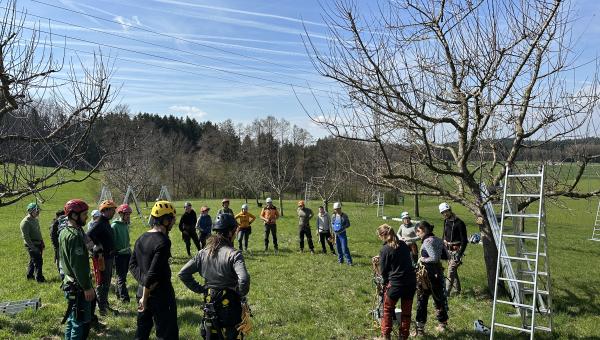 Bild: Obstbaumschnittschule